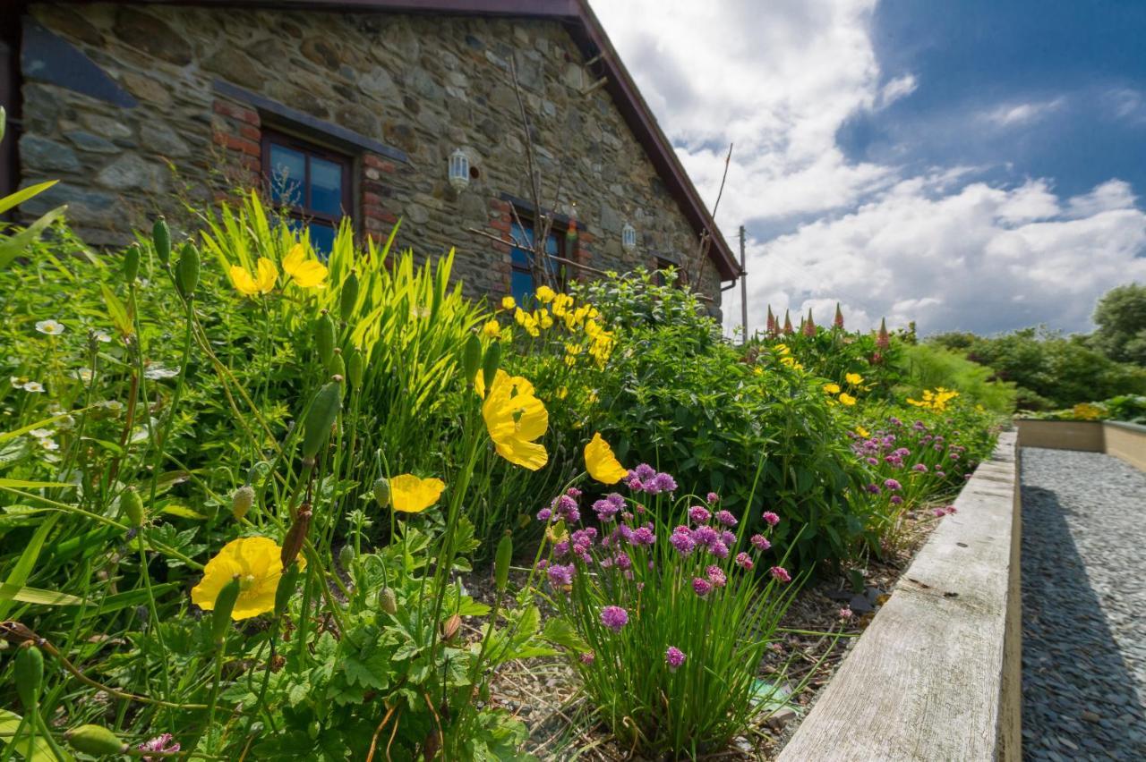 Tyn Rhos Country House Карнарвон Экстерьер фото